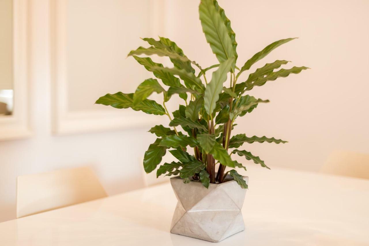 Alfama Modern Two-Bedroom Apartment W/ River View And Parking - By Lu Holidays 리스본 외부 사진
